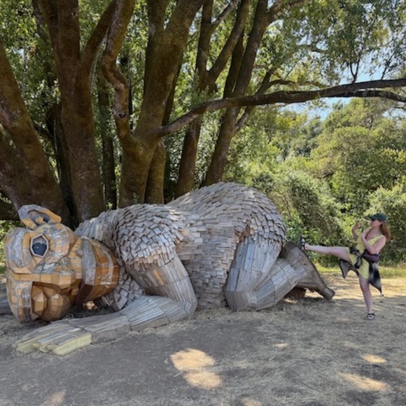 RESA Frankie Mini Dress XL - Picture 7 of 8